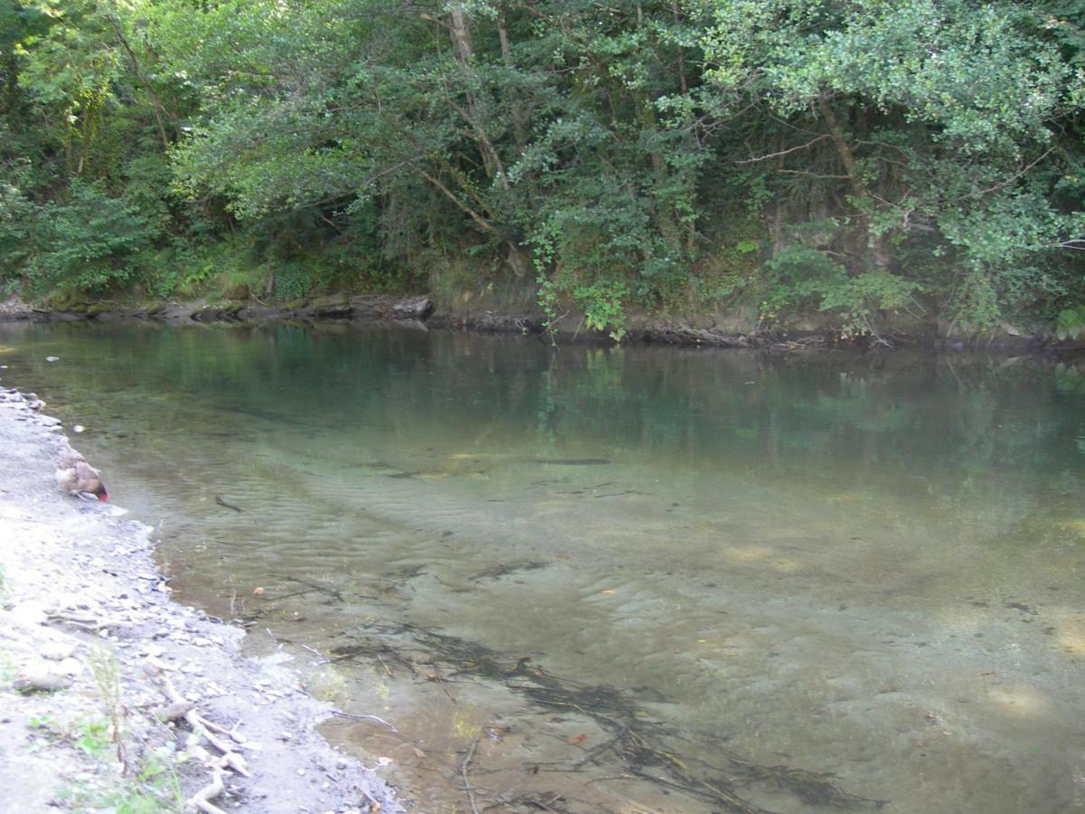 Appartement Les Rives De L'Ariege Luzenac المظهر الخارجي الصورة